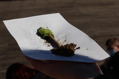 EL TEMPS DINS LA BUTXACA.