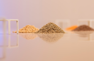 QUÈ RECORDA LA TERRA.