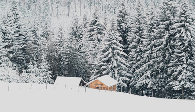 Paisatge d'hivern nevat..