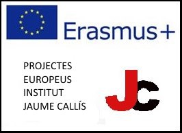 L’Institut Jaume Callís de Vic està portant a terme dos projectes europeus.