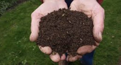 Taller compostatge.  Mans plenes del compostatge casolà.