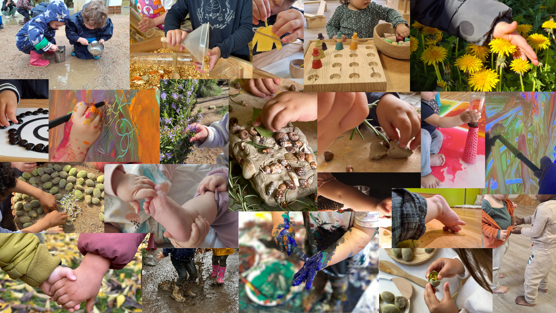 COLLAGE PROJECTE.png