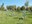Parc Era d'en Sellés