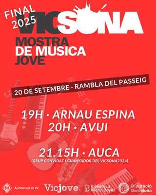 FINAL DEL VICSONA 2025 🎤.