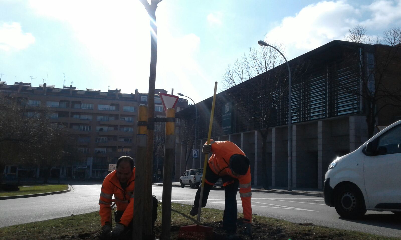 Replantació del desmai de la plaça del Mil·lenari