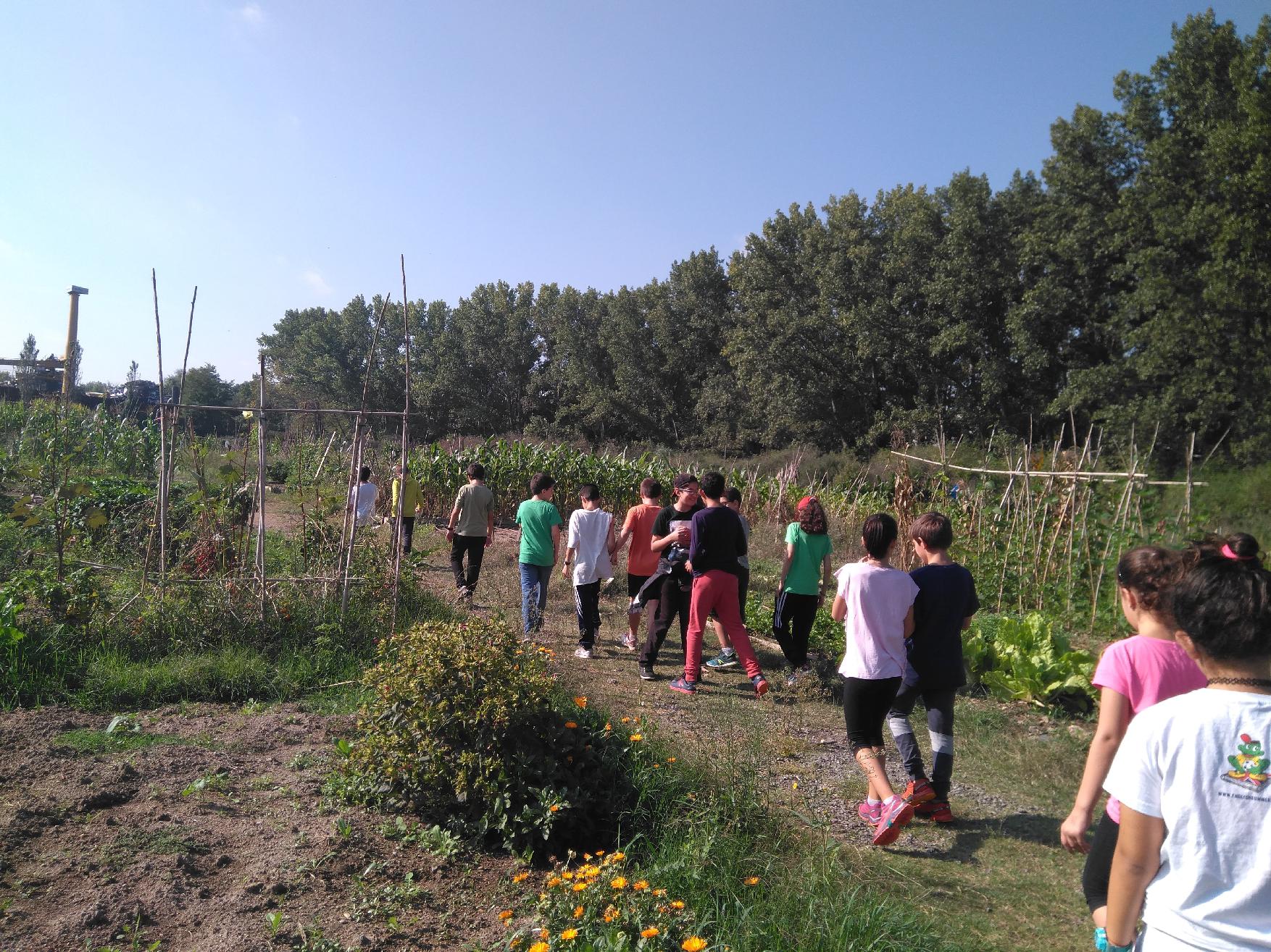 Alumnes passejant entre les parcel·les