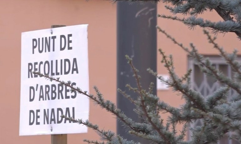 Punt de recollida d'arbres de Nadal
