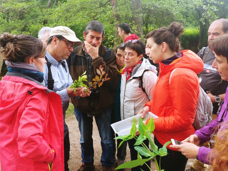 El bosc de ribera i la seva biodiversitat