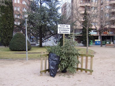 Campanya de recollida d'arbres de Nadal.