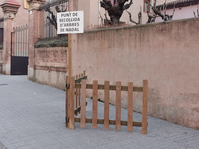Punt de recollida d'arbres de Nadal