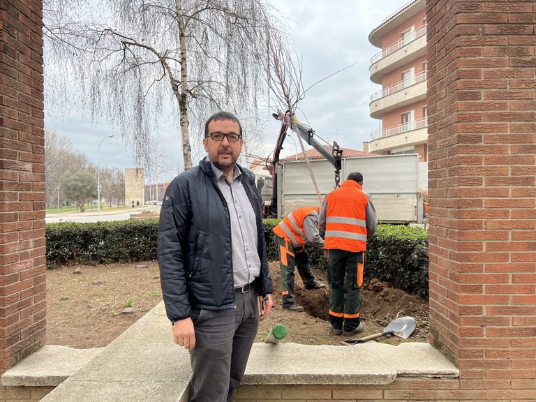 Albert Castella a la plantació d'arbres
