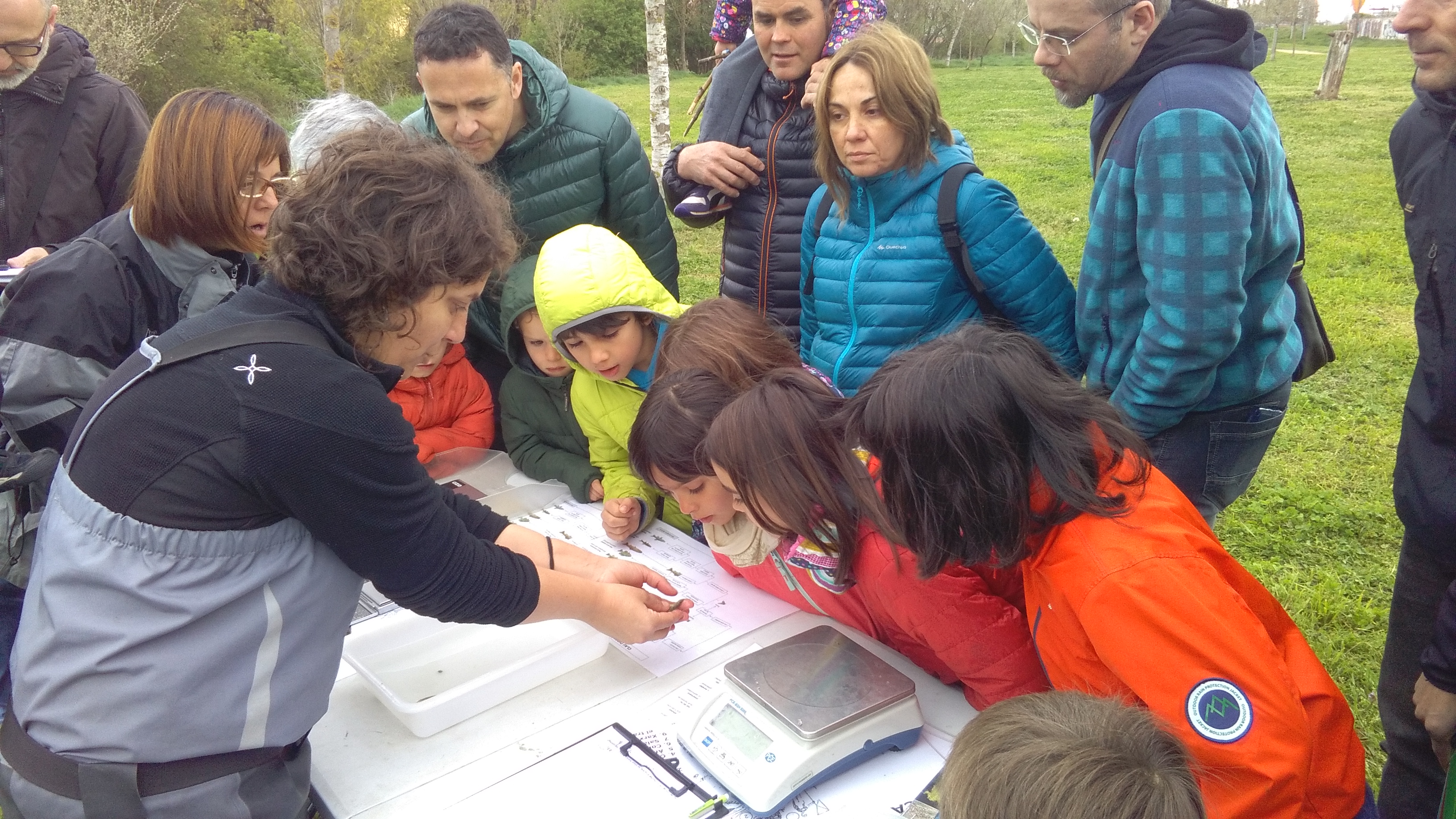 Observació de peixos durant el taller