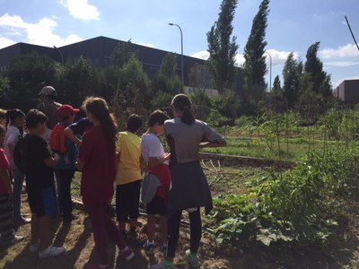 Més de 200 alumnes visiten la zona d'horta de les Casasses.