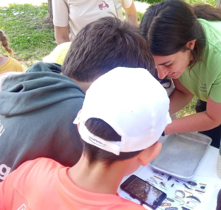 jornadaambiental_2026_3.jpeg jornadaambiental_2026_3.jpeg