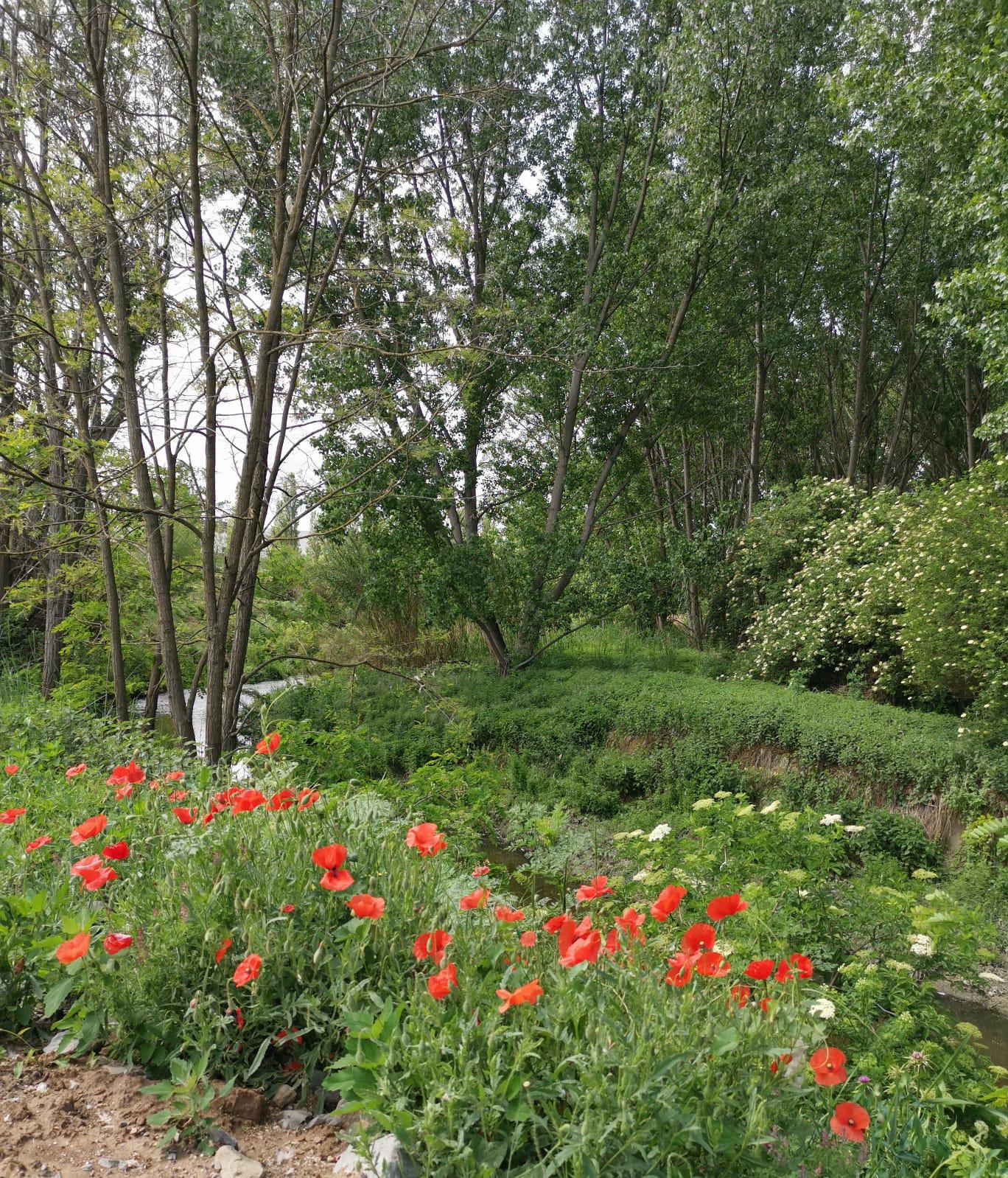 Anella Verda de Vic (2).jpeg