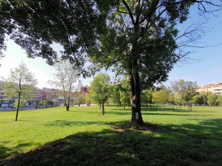 Arborètum de l'Era d'en Sellés - Anella Verda de Vic (1).jpeg