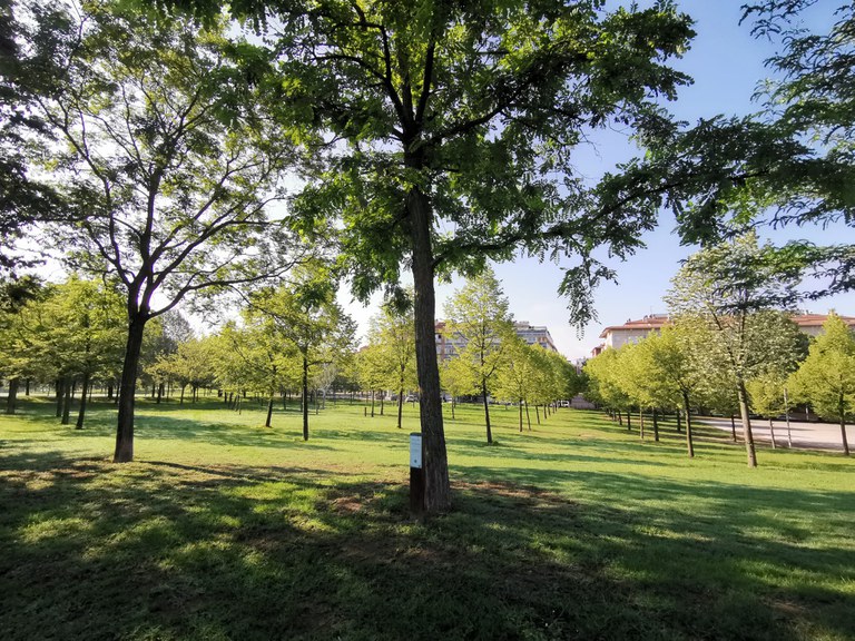 Arborètum de l'Era d'en Sellés - Anella Verda de Vic (2).jpeg