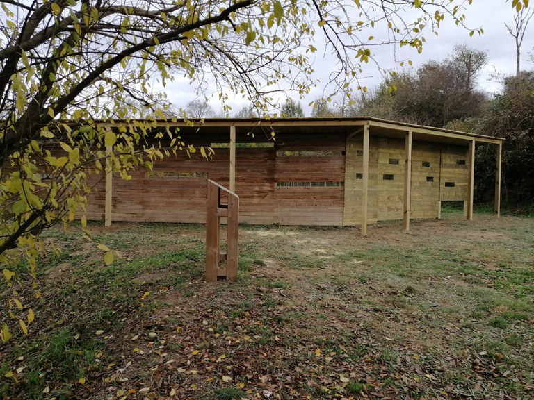 Bassa del Puig dels Jueus.jpg Bassa del Puig dels Jueus.jpg