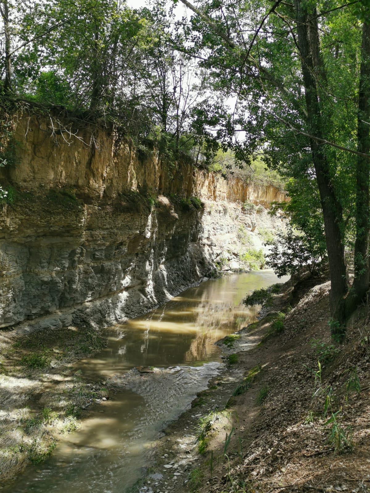 Itinerari Gurri a la font dels Frares i pont de Bruguer - Anella Verda de Vic (1).jpeg