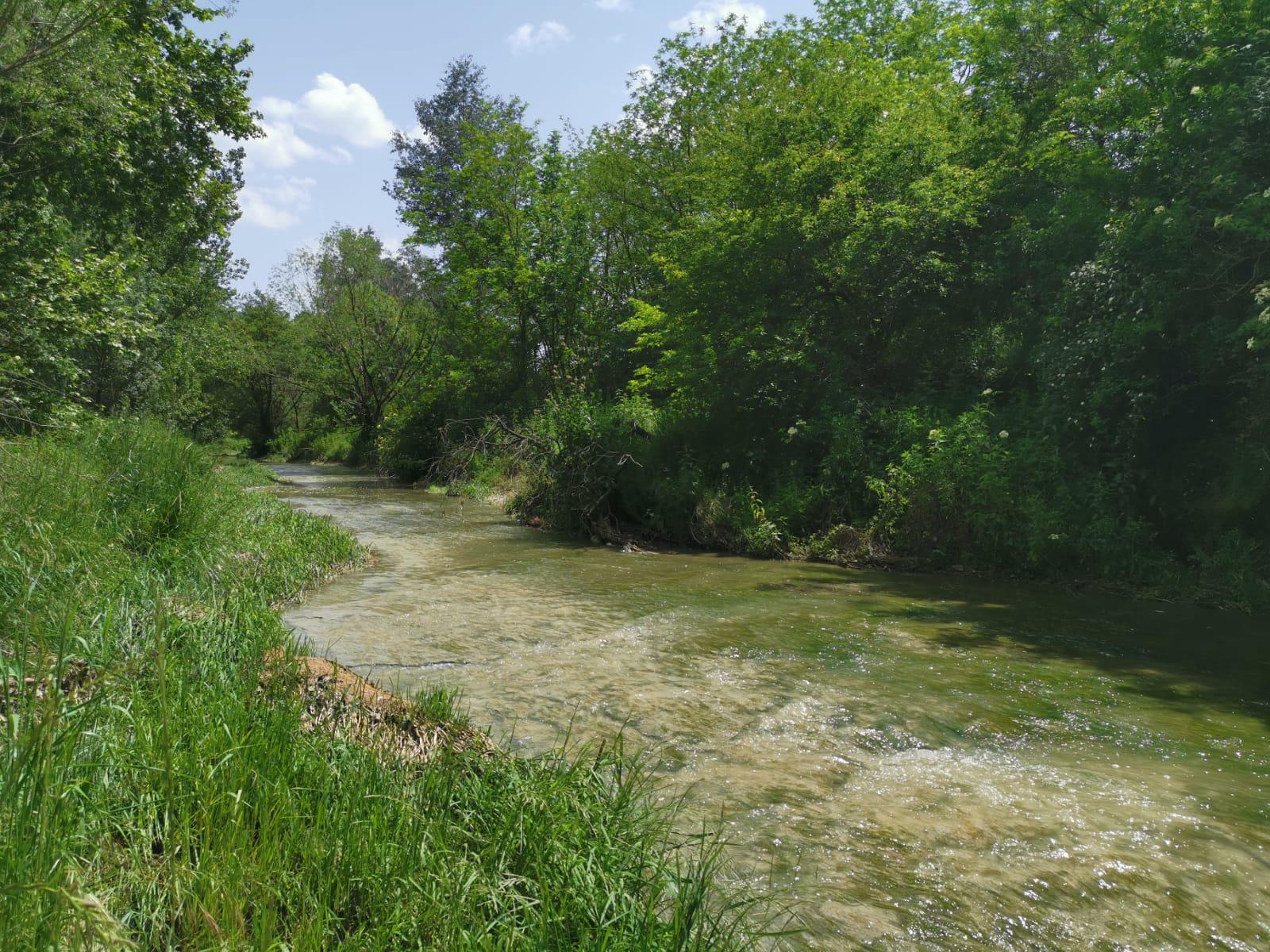 Itinerari Gurri a la font dels Frares i pont de Bruguer - Anella Verda de Vic (2).jpeg