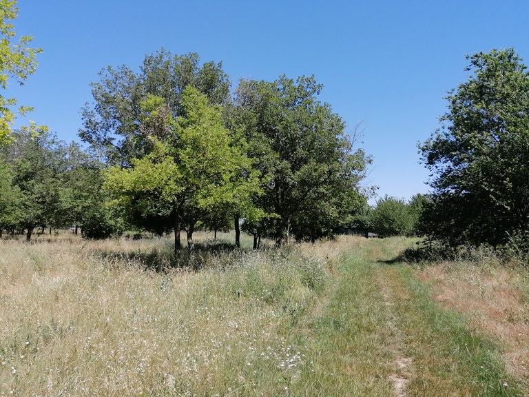 Itinerari Puig dels Jueus - Anella Verda de Vic.jpg