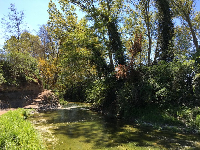 Meandre de Benages - Anella Verda de Vic (3).JPG Meandre de Benages - Anella Verda de Vic (3).JPG