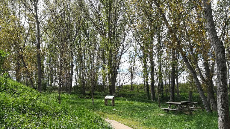 Meandre de la Codineta - Anella Verda de Vic (2).jpg Meandre de la Codineta - Anella Verda de Vic (2).jpg