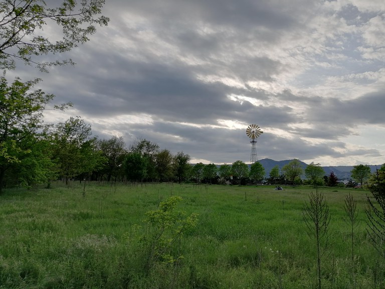 Molí de vent del Bosc del Puig dels Jueus.jpg