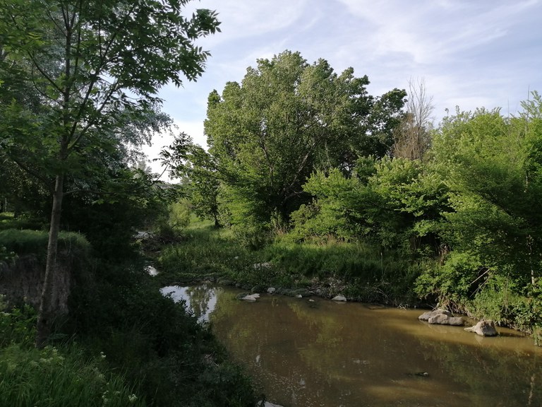 Riu Gurri Anella Verda.jpg Riu Gurri Anella Verda.jpg