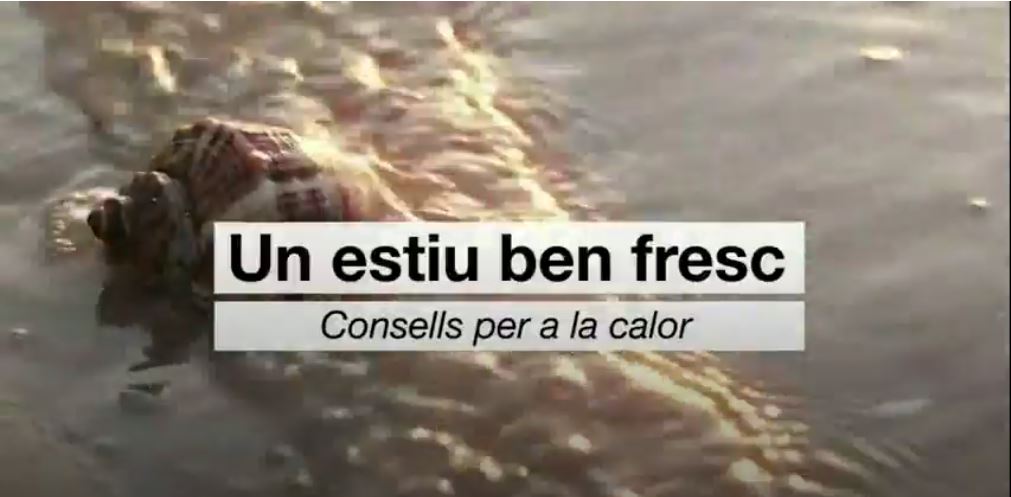 Consells per a la calor