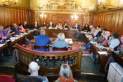 Ple municipal del mes de març